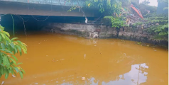 എറണാകുളം മാർക്കറ്റിലെ ചന്തക്കുളത്തിൽ ശുചിമുറിമാലിന്യം ഒഴുകിയെത്തി