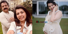 തെറ്റ് സമ്മതിച്ച ജീവനക്കാർ 8 ലക്ഷം രൂപ തിരിച്ചു നൽകി, പരാതി വ്യാജമെന്ന് കൃഷ്ണകുമാര്‍