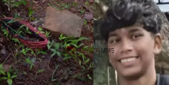 'വൈദ്യുതി മോഷ്ടിച്ച് ലൈൻ വലിച്ചത് അരകിലോമീറ്ററോളം, ഇറച്ചിക്കായി പന്നി പിടിക്കൽ ഇവിടെ ബിസിനസാണ്' -  പ്രദേശവാസികൾ