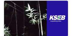 കാട്ടുപന്നിയെ കുടുക്കാനുള്ള കെണിയിൽ തട്ടി മരണം :രണ്ട് പ്രതികളെ കസ്റ്റഡിയിൽ എടുത്ത് പോലീസ് 
