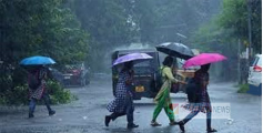 വീണ്ടും വരുന്നു ശക്തമായ  മഴ..; കേരളത്തിൽ വരും ദിവസങ്ങളില്‍ വിവിധ ജില്ലകളിൽ യെല്ലോ അലർട്ട്