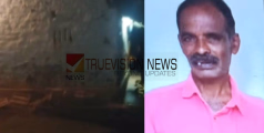 നീലഗിരിയിൽ കാട്ടാന ആക്രമണം; ഒരാൾ കൊല്ലപ്പെട്ടു 