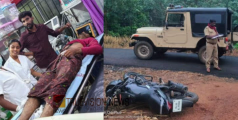 പാലക്കാടും പത്തനംതിട്ടയിലും മലപ്പുറത്തും കാട്ടാന ആക്രമണം; രണ്ട് പേർക്ക് പരിക്ക്, വാഹനം തകർത്തു