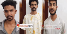 പാനൂരിനടുത്ത് ചൊക്ലിയിൽ വൻ ലഹരി വേട്ട ;  എംഡിഎംഎയും, കഞ്ചാവുമായി മൂന്ന് യുവാക്കൾ പിടിയിൽ
