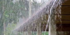 സംസ്ഥാനത്ത് വീണ്ടും മഴ ശക്തമാകും:  ഇന്ന് വിവിധ ജില്ലകളിൽ യെല്ലോ അലർട്ട്.