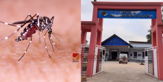 ജാഗ്രത: കാവിലുംപാറയില്‍ മഞ്ഞപ്പിത്തം, ഡെങ്കിപ്പനി രോഗം പടരുന്നു; പതിനാറോളം പേർ ചികിത്സയില്‍