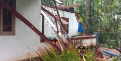  കോതോട് കാറ്റിലും മഴയിലും തെങ്ങ് വീണ് വീട് തകർന്നു; ഗൃഹനാഥൻ രക്ഷപ്പെട്ടത് അത്ഭുതകരമായി 