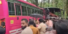സ്വകാര്യ ബസും ടൂറിസ്റ്റ് ബസും കൂട്ടിയിടിച്ച് അപകടം; 85 പേര്‍ക്ക് പരിക്ക്
