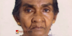 കുന്നുംപുറത്ത് തട്ടാറക്കൽ കല്യാണി അമ്മ അന്തരിച്ചു