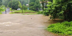 കനത്തമഴ: കണ്ണൂർ ചെറുപുഴ മുളപ്ര പാലവും സമീപത്തെ കൃഷിയിടങ്ങളും വെള്ളത്തിനടിയിലായി