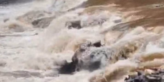 കൊട്ടിയൂർ ബാവലി പുഴയിലെ തടയണ പൊട്ടി