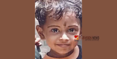 കളിചിരി ഓർമകൾ ബാക്കി ;അമർ ദേവ് യാത്രയായി
