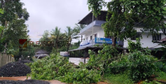 തോടന്നൂരിൽ മരം വീണ് മെമ്പറുടെ വീടിന് കേടുപാട് 