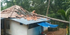 കനത്ത മഴ; കണ്ണൂർ തളിപ്പറമ്പിൽ വീടിന് മുകളിലേക്ക് തെങ്ങ് മറിഞ്ഞു വീണ് അപകടം; മൂന്ന് പേർക്ക് പരിക്ക്