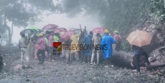 ഇനി ചുരത്തിൽ പോകാം ...; താമരശ്ശേരി ചുരത്തില്‍ അപകടാവസ്ഥയിലായിരുന്ന മരം മുറിച്ചുമാറ്റി; ഗതാഗതം ഭാഗികമായി പുനഃസ്ഥാപിച്ചു