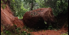 മഴ കനക്കുന്നു: തളിപ്പറമ്പിലെ വിവിധ ഇടങ്ങളിൽ മതിൽ ഇടിഞ്ഞും പാറ വീണും അപകടം 