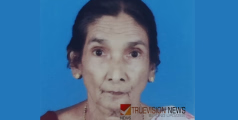 ഇനിക്കിന്റവിട ജാനു അന്തരിച്ചു