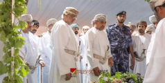 ഒമാനിൽ ഇനി മുന്തിരിക്കാലം; രണ്ടാം വിളവെടുപ്പുത്സവത്തിന് തുടക്കമായി