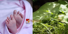 ചേമ്പിലയിൽ പൊതിഞ്ഞ് നവജാതശിശുവിനെ വലിച്ചെറിഞ്ഞു; അവിവാഹിതയായ അമ്മയ്ക്കെതിരെ കൊലക്കുറ്റം ചുമത്തും