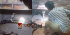 വീടിന്‍റെ അടുക്കളയിൽ മൂർഖൻ പാമ്പിനെ കണ്ടെത്തി