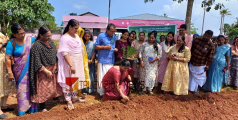 തലക്കുളത്തൂരില്‍ ഓണത്തിന് പൂക്കളമൊരുക്കാന്‍ 'നിറപ്പൊലിമ', വിഷമുക്ത പച്ചക്കറിക്കായി 'ഓണക്കനി'
