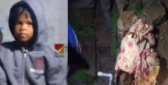 കുഞ്ഞിനെ പുലി കടിച്ചു വലിച്ച് കൊണ്ടുപോയി; വാല്‍പ്പാറയില്‍ ആറു വയസുകാരിയെ പുലി പിടിച്ചെന്ന് അമ്മയുടെ പരാതി