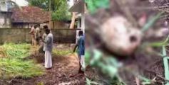 കൊച്ചിയിൽ ആളൊഴിഞ്ഞ പറമ്പിൽ മനുഷ്യന്‍റെ തലയോട്ടി കണ്ടെത്തി, പൊലീസ് സ്ഥലത്തെത്തി