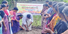 കുഴുപ്പിള്ളിയിൽ ഓണക്കനി പദ്ധതി ആരംഭിച്ചു  