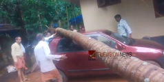 വ്യാപക നാശം; നാദാപുരം മേഖലയില്‍ വീശിയടിച്ച് കാലാവർഷക്കാറ്റ്