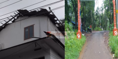 പാനൂർ എലാങ്കോട് വീശിയടിച്ച കാറ്റിൽ വ്യാപക  നാശനഷ്ടം
