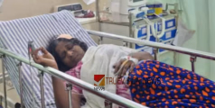 അക്രമം പതിവ്,  മദ്യലഹരിയിൽ യുവാവ് കല്ലെടുത്ത് അയൽവാസിയുടെ തലയ്ക്കടിച്ചു, വീട്ടമ്മയ്ക്ക് ഗുരുതര പരിക്ക്