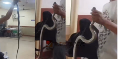 എന്നെ പാമ്പു കടിച്ചേ.... രക്ഷിക്കണേ..! കൂറ്റന്‍ പാമ്പുമായി ആശുപത്രിയില്‍ സഹായമഭ്യര്‍ഥിച്ച് എത്തി യുവാവ്
