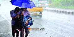 എണീക്കണ്ടാ കിടന്നോളൂ....; ഏഴ് ജില്ലകളിലെ വിദ്യാഭ്യാസ സ്ഥാപനങ്ങൾക്ക് ഇന്ന് അവധി