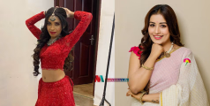 രേണു ചേച്ചിയുമായി പ്രശ്നങ്ങൾ ഉണ്ട്? ആ പ്രോഗ്രാമിനു ശേഷം ഞങ്ങൾ വിളിച്ചു സംസാരിച്ചിട്ടൊന്നുമില്ല, പക്ഷേ..; അനുമോള്‍