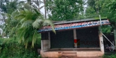 ശക്തമായ കാറ്റ്; എടച്ചേരിയിൽ കടയുടെ മുകളിൽ തെങ്ങ് വീണു