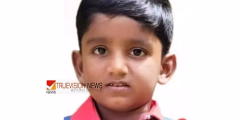 വിനോദയാത്ര കഴിഞ്ഞ് വീട്ടിലേക്കുള്ള മടക്കം അവസാനയാത്രയായി; കാർ മതിലിൽ ഇടിച്ച് അപകടം, പരിക്കേറ്റ നാല് വയസുകാരൻ മരിച്ചു