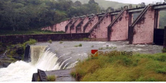  135.85 അടിയായി ഉയർന്ന്  മുല്ലപ്പെരിയാർ ജലനിരപ്പ്