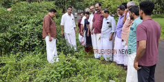 പെരുവച്ചേരി നടയിൽ തെരുവ് വിളക്ക് നശിപ്പിച്ചവരെ ഉടൻ പിടികൂടണം -സർവ്വകക്ഷി യോഗം 