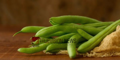 ഗ്രീന്‍ ബീന്‍സ്  പ്രിയരാണോ? അറിയാം ഗുണങ്ങൾ ...