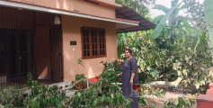 വീടിനു മുകളിലേക്ക് വീണ മരം  മുറിച്ചു നീക്കാൻ ഉടമകളും, അധികൃതരും തയ്യാറാകുന്നില്ല ; പാനൂർ നഗരസഭക്കു മുന്നിൽ സത്യാഗ്രഹമിരിക്കാൻ ദമ്പതികൾ