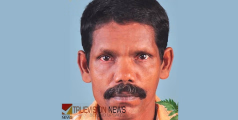 റോഡ് മുറിച്ച് കടക്കുന്നതിനിടെ കാറിടിച്ചു; പാലായിൽ വയോധികന് ദാരുണാന്ത്യം