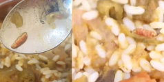 ഹോസ്റ്റലിൽ ഭക്ഷണത്തിൽ പുഴു കിടന്നതായി പരാതി