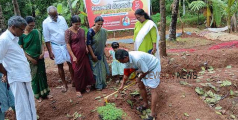 നിറപ്പൊലിമ; ഓണത്തിന് പൂക്കളമൊരുക്കാൻ ചെണ്ടുമല്ലിയും, ചോറോട് കൃഷി ആരംഭിച്ചു  
