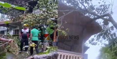 കനത്ത കാറ്റും മഴയും; കള്ളാട് വീടിനു മുകളിൽ മരം വീണ് മേൽക്കൂര തകർന്നു