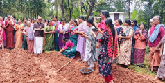 ചെണ്ടുമല്ലി കൃഷി ഇനി ഞങ്ങളുടെ കൈകളില്‍