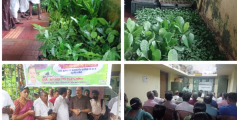 കൊട്ടിയൂർ കൃഷി ഭവൻ്റെയും കൊട്ടിയൂർ ഗ്രാമ പഞ്ചായത്തിന്റെയും ആഭിമുഖ്യത്തിൽ കർഷക സഭയും ഞാറ്റുവേലചന്തയും സംഘടിപ്പിച്ചു