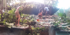 ശക്തമായ കാറ്റ് ; വടക്കുമ്പാട് വീടിന് മുകളിൽ കൂറ്റൻ തണൽമരം വീണ് മേൽക്കൂര തകർന്നു.
