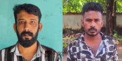 കണ്ടാൽ മത്സ്യ കച്ചവടം ; സ്ഫോടക വസ്തുക്കൾ ഉപയോഗിച്ച് കാട്ടു പന്നികളെ കൊല്ലും, പിന്നാലെ മാംസ വിൽപന , യുവാക്കൾ പിടിയിൽ