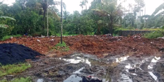 അന്നം മുട്ടിക്കല്ലേ...പാടം നികത്തൽ ; കലക്ടർക്ക്‌ പരാതി നൽകി   