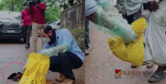 നിപ ഭീതി ഒഴിയുന്നില്ല,  മണ്ണാർക്കാട് പെരിഞ്ചോളത്ത് വവ്വാൽ ചത്തു വീണു; ആശങ്കയോടെ നാട്ടുകാർ, കനത്ത ജാഗ്രത